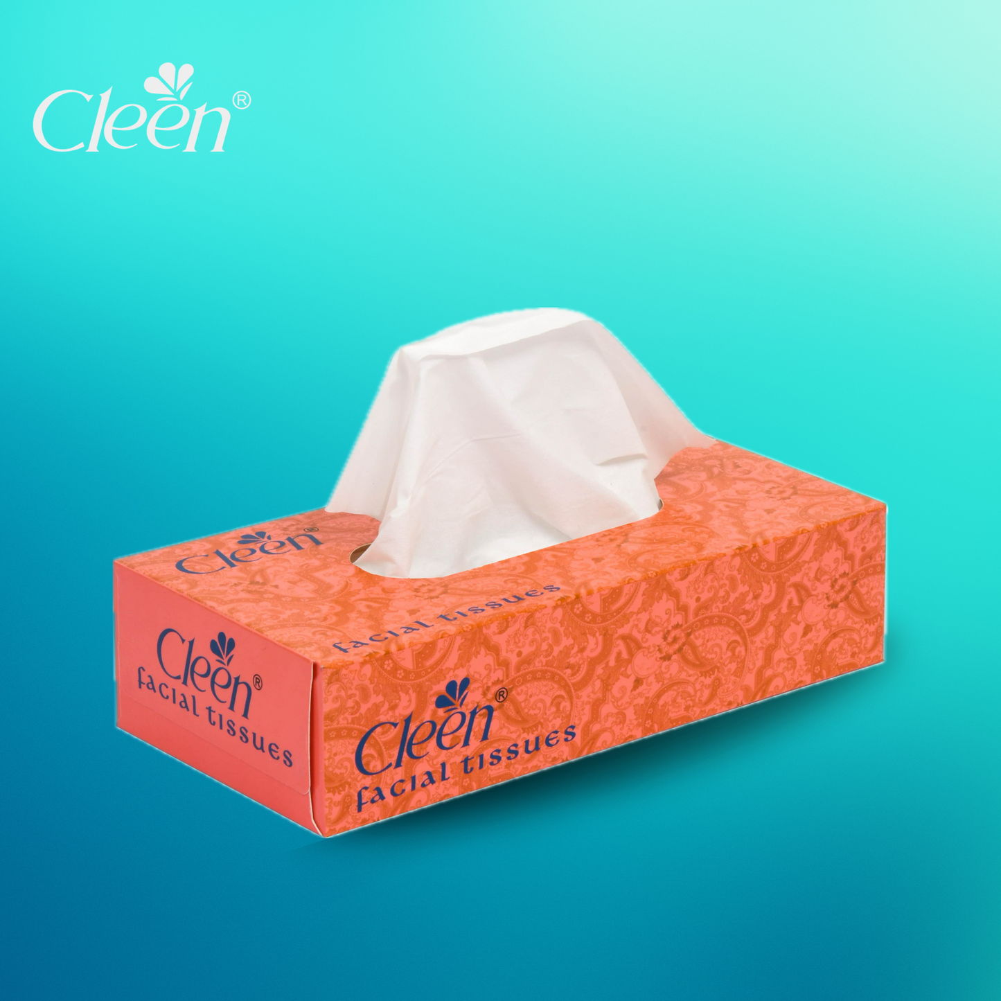 Cleen Facial Tissue Box - 80 Pulls ( Pack of 3 )